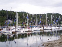 8th Annual Jeanneau Summer Sailstice Rendezvous in the Pacific Northwest