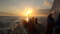 Discover Sailing Newsletter