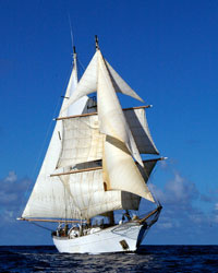 Brigantines and Schooners Set Sail