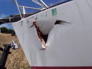 Word(s) of the Week: Starboard and Port