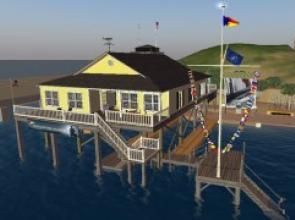 Virtual Rally in a Virtual World in 'Second Life'