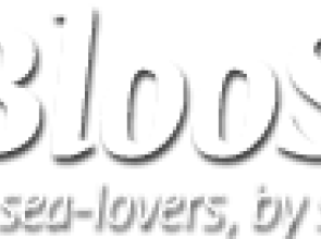 Bloosee posts interview with founder John Arndt