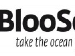 Summer Sailstice Partners with BlooSee Network for Sea Lovers