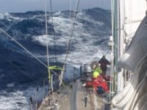 Not Every Sail's a Picnic