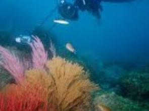 Join two-day cruise to Coches Prietos on Santa Cruz Island 