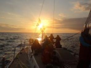 Discover Sailing Newsletter