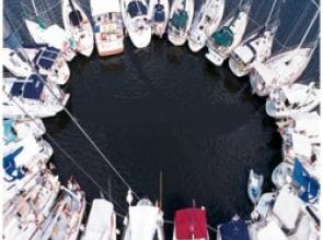 Chesapeake Sunflower Raft Up for Summer Sailstice