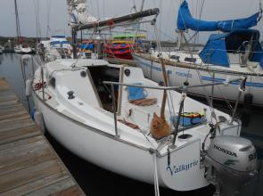 Summer Whale Tales from Monterey Bay