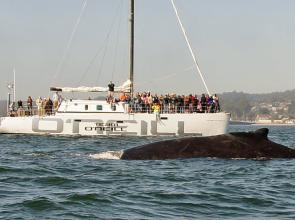 Jack O'Neill “I saw the potential hazards of people not taking care of the ocean..."