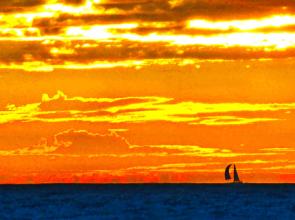 2013 Winter Solstice Newsletter