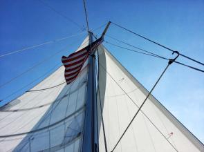 Other photo contest stories