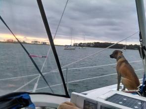 2014 Summer Sailstice Celebration Cruise was a "hail" of a good time.