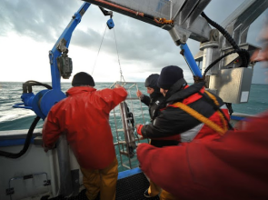 Ocean Sampling Day and Summer Sailstice Participants Team Up For 2014