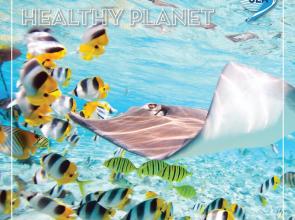 Join Sailors for the Sea in celebrating World Oceans Day with a dose of #oceanoptimism