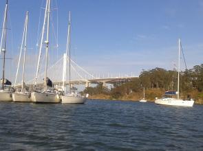 Yacht Tubbing, Good Company, and Clipper Cove - Modern Sailing School's Sailstice "Sail-bration"! 