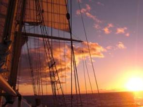 Recent Boats Joining the Summer Sailstice Celebration