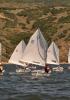 Opti's sailing downwind - looking good!
