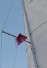 I loved flying my Sailstice 2024 flag on my boat!