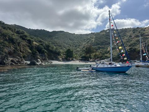 The Blue Heron at Geiger Cove - learn more at https://www.bluewatercruisingclub.com/