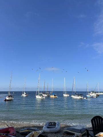 Sailboats at Big Geiger Cove - learn more at https://www.bluewatercruisingclub.com/