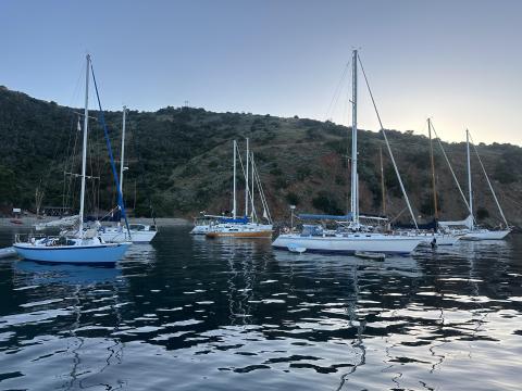 Sailboats at Big Geiger Cove - learn more at https://www.bluewatercruisingclub.com/