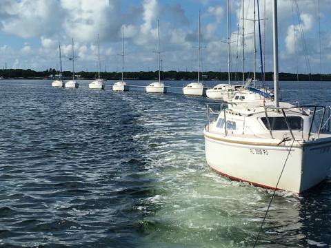 Sail Florida Keys, Key Lime Sailing Club and Cottages