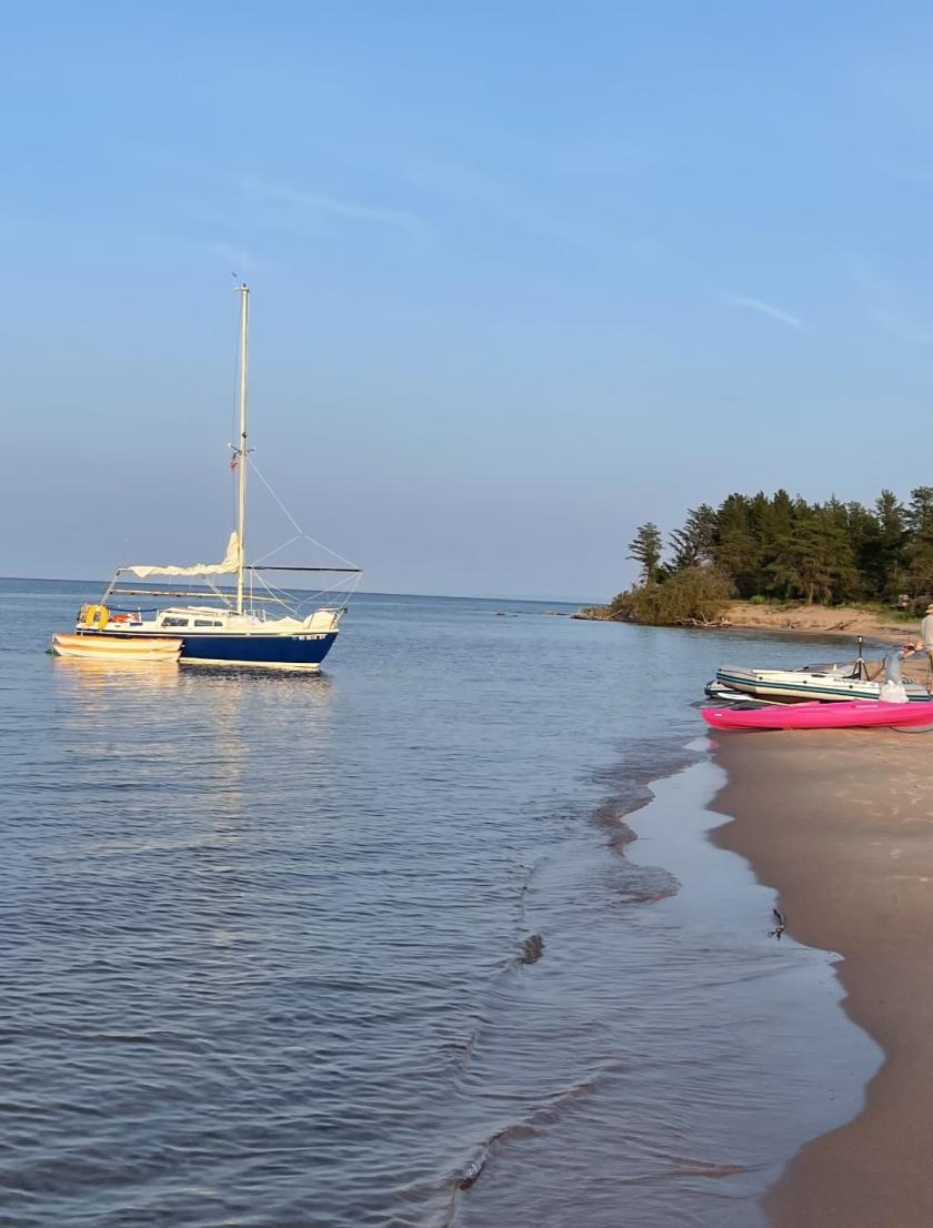 Blue Heeler near beach