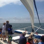 Summer 'Sailstice' celebrated in Orange Beach (AL)