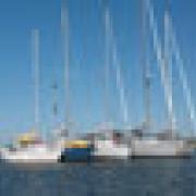 Two Views of a San Francisco Celebration and Delta Cruise