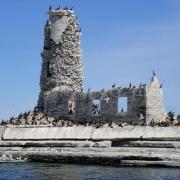 Scotcht Bonnet from Bill T