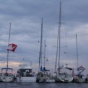 North St. Johns River, FL - 'Soggy Dollar' Redux