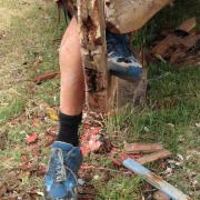 Here are Two More Restored Sailboat Entries. 