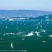 New story in Bay Crossings