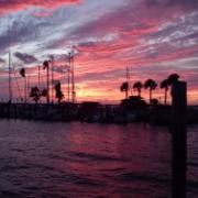 Couldn't resist sending this photo