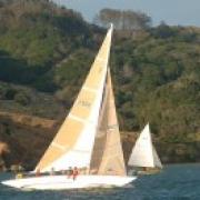 July 17 Newsletter - No Sail Left Unfurled