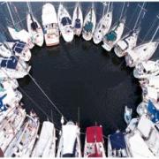 Chesapeake Sunflower Raft Up for Summer Sailstice