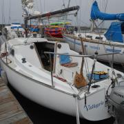 Summer Whale Tales from Monterey Bay