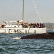 Jack O'Neill “I saw the potential hazards of people not taking care of the ocean..."