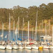 The '70s Greatest Hits' 50 Boat Raft Up With Washed Up Yacht Club