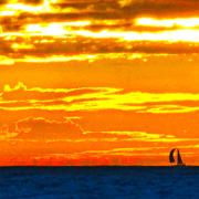 2013 Winter Solstice Newsletter