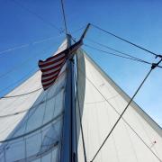 Other photo contest stories