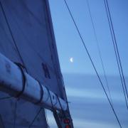 Glorious, Sunny Day Full of Tension Aboard Great Britian