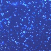 Calling All Sailing Citizen Scientists - 