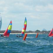 What's New This Week?