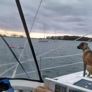 2014 Summer Sailstice Celebration Cruise was a "hail" of a good time.