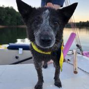 2019 Celebrates Summer Sailstice