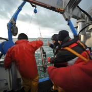 Ocean Sampling Day and Summer Sailstice Participants Team Up For 2014