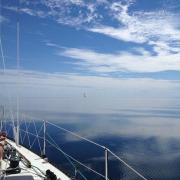 More updates from Scotch Bonnet Island Race