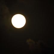 BVI - Florida Sailors Celebrate in the Islands