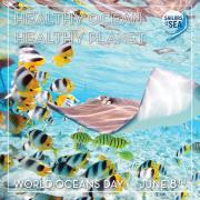 Join Sailors for the Sea in celebrating World Oceans Day with a dose of #oceanoptimism